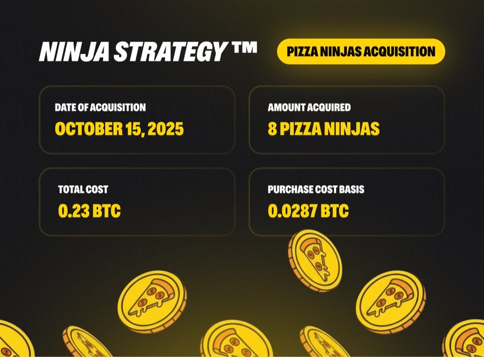 NinjaStrategy makes its first purchase